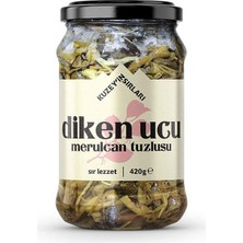 Kuzeyin Sırları Diken Ucu Tuzlusu (420 gr)