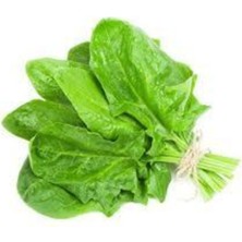 Tohumcumm 50 Adet Tohum Yerli Pazı Doğal Pazı Ata Tohum