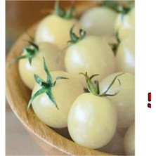 Tohumcumm Saksılık Beyaz Cherry Domates Tohumu