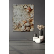 Teona Ahşap Deniz Kabukları ve Eski Yazılar Yağlı Boya Görünümlü Ahşap Dekoratif Tablo Dikdörtgen Tablo