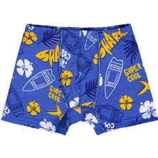 Domi Kids Shark  2-8 Yaş Erkek Çocuk 2'li Boxer