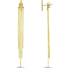 Assos Pırlanta Tasarım Altın Küpe - 14K