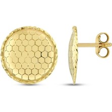 Assos Pırlanta Tasarım Altın Küpe - 14K