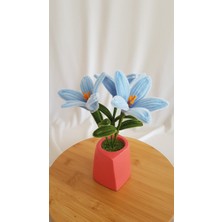 Badem Hediyecilik Zambak Saksı Çiçeği