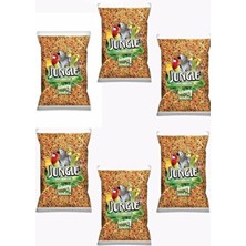 Jungle Granül Muhabbet Kuşu Yemi 1 kg x 6 Adet Doğal İçeriklerle Zenginleştirilmiş