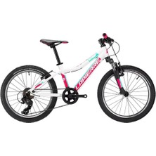 Lapierre Pro Race 20 Jant 7 Vites Alüminyum Çocuk Bisikleti