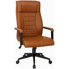 Sadık Ofis Ergonomik Yönetici Ofis Koltuğu – Siyah Ayak & Kollu, Yüksek Sırt Destekli