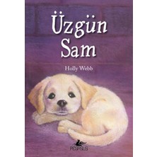 Kategori Yayıncılık Üzgün Sam