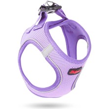 Luckypaw Air Mesh Kedı ve Köpek Göğüs Tasması Lila Medıum