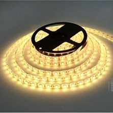 Cata 5 Metre 12 Volt 10 Çipli Iç Mekan Sarı Renkli Şerit LED Özellikli Aydınlatma