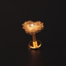 Aida Jewelss Yüksek Kalite G23 Titanium Kalp Zirkon Altın Titanyum 6x1.2mm Labret Piercing