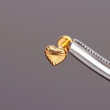 Aida Jewelss Yüksek Kalite G23 Titanium Kalp Altın Titanyum 7x1.2mm Labret Piercing