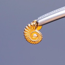 Aida Jewelss Yüksek Kalite G23 Titanium Salyangoz Zirkon Altın Titanyum 6x1.2mm Labret Piercing