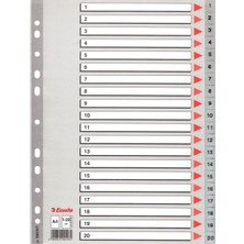 Kitabevimden Esselte Seperatör 1-20 Rakamlı Plastik A4 100107