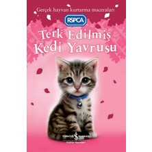 Getittir Terk Edilmiş Kedi Yavrusu