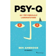 Kyops Psy-Q - Ev Tipi Psikoloji Laboratuvarı