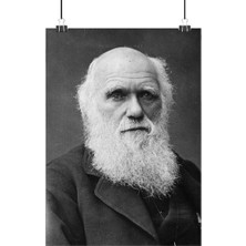 Vintage Gezegen Charles Darwin Poster3 - Retro Duvar Dekoru