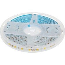 CT-4492 10ç Dış Mekan LED Şerit, 5m