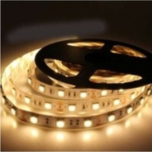 Cata CT-4481 Şerit LED 10 Çipli Günışığı 3200K Iç Mekan 12V ( 15 Metre )