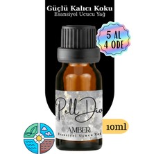 PellDio Home Amber Esansiyel Uçucu Yağ, Buhurdanlık Yağı, Difüzör Esansı, Oda Kokusu 10ML