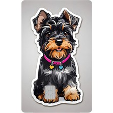 Bsb Kart Kaplama Sticker Banka Kredi Kartı Kaplama Stickeri KK1343