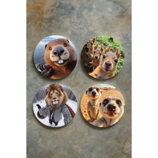 Nurdic Ev Dekor Oval Pleksi Bardak Altlığı Temalı Desenli 4'lü Set Selfie