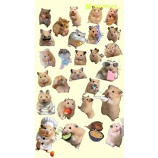 Bsb Hamster Telefon Laptop Notebook Tablet Defter Matara Stiker Etiket ST2177