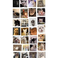 Bsb Kedi Telefon Laptop Notebook Tablet Defter Matara Stiker Etiket ST2262