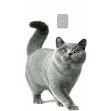 Bsb Kart Kaplama Sticker Banka Kredi Kartı Kaplama Stickeri KK1483