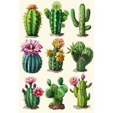 Bsb Kaktüs Telefon Laptop Notebook Tablet Defter Matara Stiker Etiket ST2129