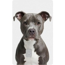 Bsb Kart Kaplama Sticker Banka Kredi Kartı Kaplama Stickeri KK1758