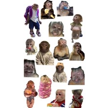 Bsb Maymunlar Telefon Laptop Notebook Tablet Defter Matara Stiker Etiket ST2275