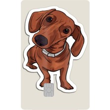 Bsb Kart Kaplama Sticker Banka Kredi Kartı Kaplama Stickeri KK1376