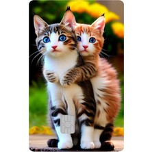 Bsb Kart Kaplama Sticker Banka Kredi Kartı Kaplama Stickeri KK1588