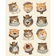 Bsb Kedi Telefon Laptop Notebook Tablet Defter Matara Stiker Etiket ST2089