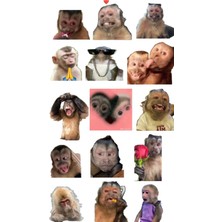 Bsb Maymunlar Telefon Laptop Notebook Tablet Defter Matara Stiker Etiket ST2194