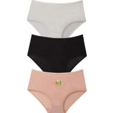 Papatya Modal Yüksek Bel Kadın Külot Asorti 3' lü Paket