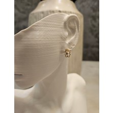 Alya's Aksesuar Altın Rengi Taşlı Ayıcık Küpe-Kc Altın Kaplama