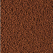 Tropical Cichlid Carnivore Small Pellet 100 Gram Balık Yemi