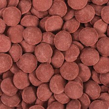 Tropical Hi-Protein Discs Xxl 100 Gram Balık Yemi