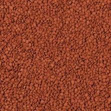 Tropical Tanganyika Chips 1000 gr Açık Bölme