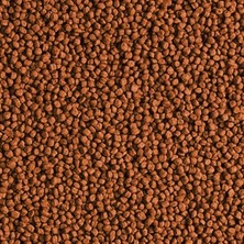 Tropical Red Parrot Gran 500 gr Açık Bölme