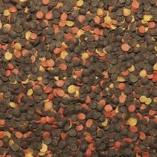 Tropical Malawi Chips 100 Gram Balık Yemi