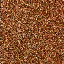 Tropical Supervit Granulat 500 gr Açık