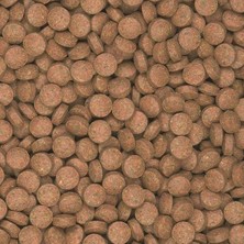 Tropical Supervit Tablets B 1000 gr Açık Balık Yemi