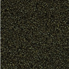 Tropical Super Spirulina Forte Gran 100 Gram Balık Yemi