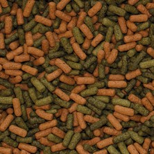 Tropical Cichlid Red Green Large Sticks 100 Gram Balık Yemi