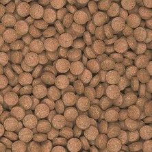 Tropical Supervit Tablets B 100 Gram Balık Yemi