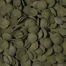 Tropical Green Algae Wafers 500 Gram Kovadan Bölme
