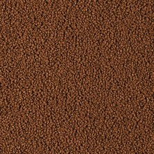 Tropical D-Allio Plus Granulat 100 Gram Balık Yemi